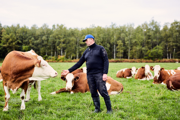 boer landbouwer koeien melkkoeien biologisch boerderij bioboerderij